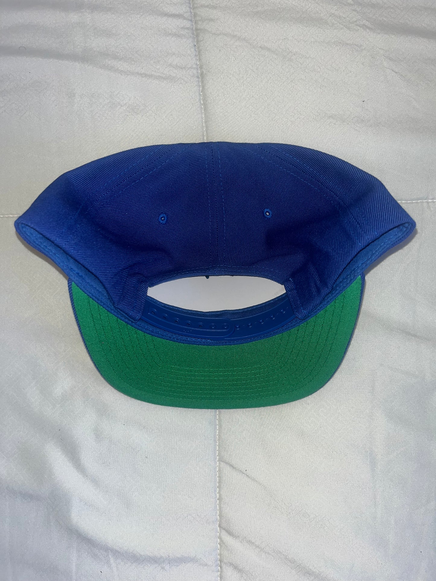 Dodger Blue snap back