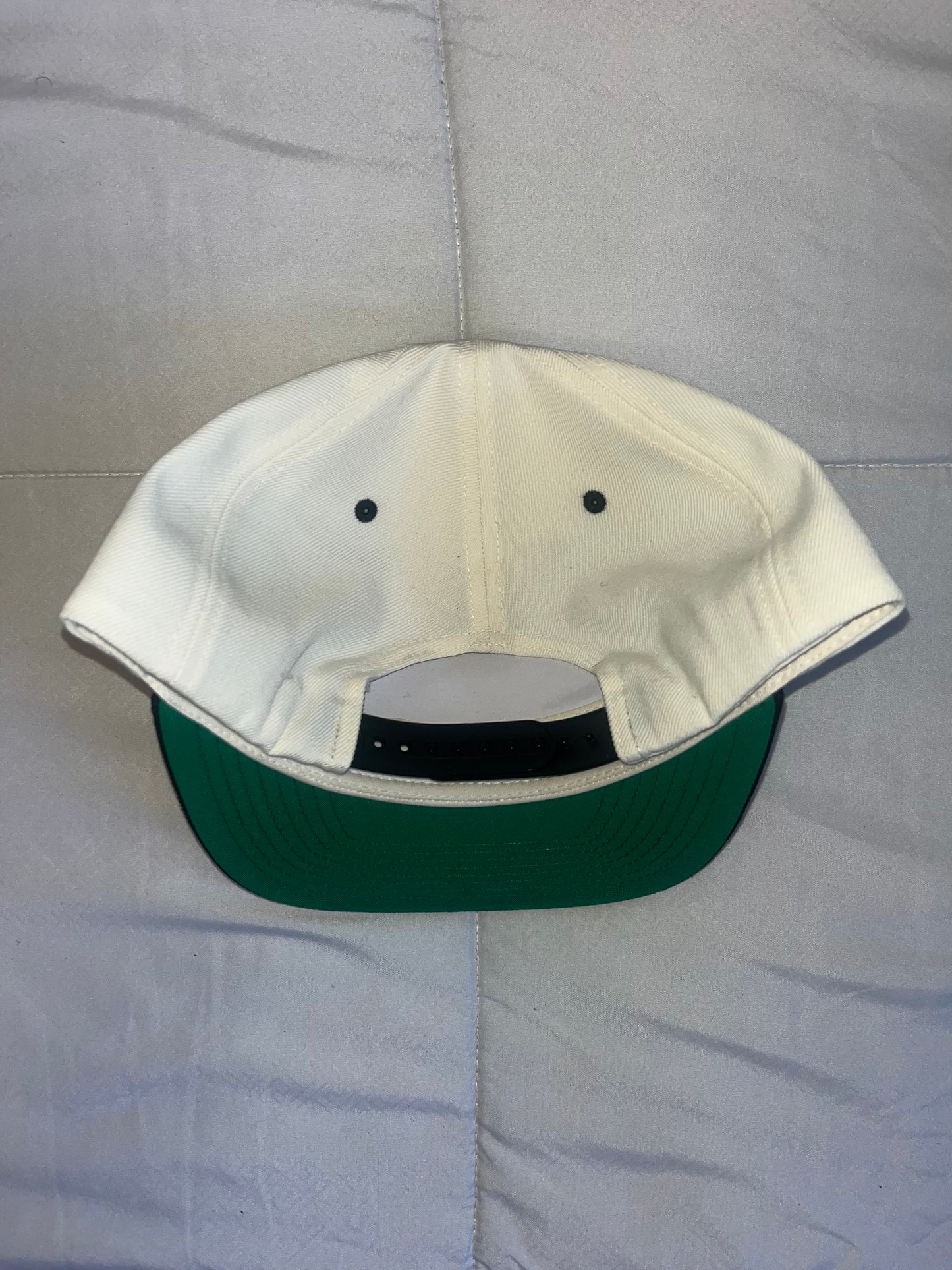 Off white TNL snap back
